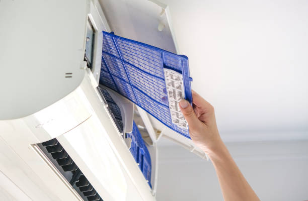 Best Affordable HVAC Duct Cleaning  in Wadena, MN